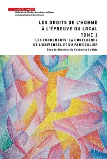 Les Droits de l'homme à l'épreuve du local. Tome 1